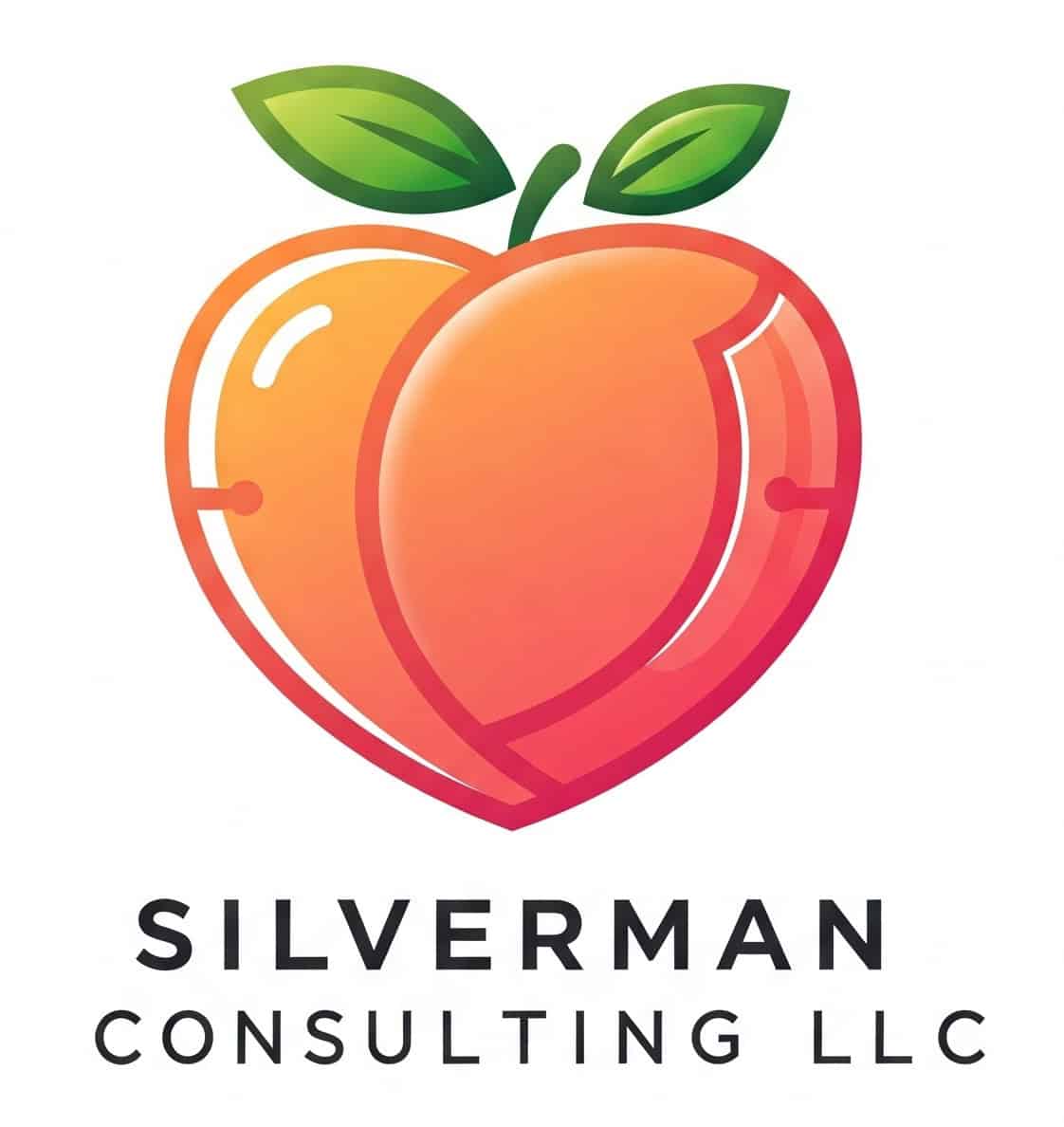 Silverman Consulting LLC
